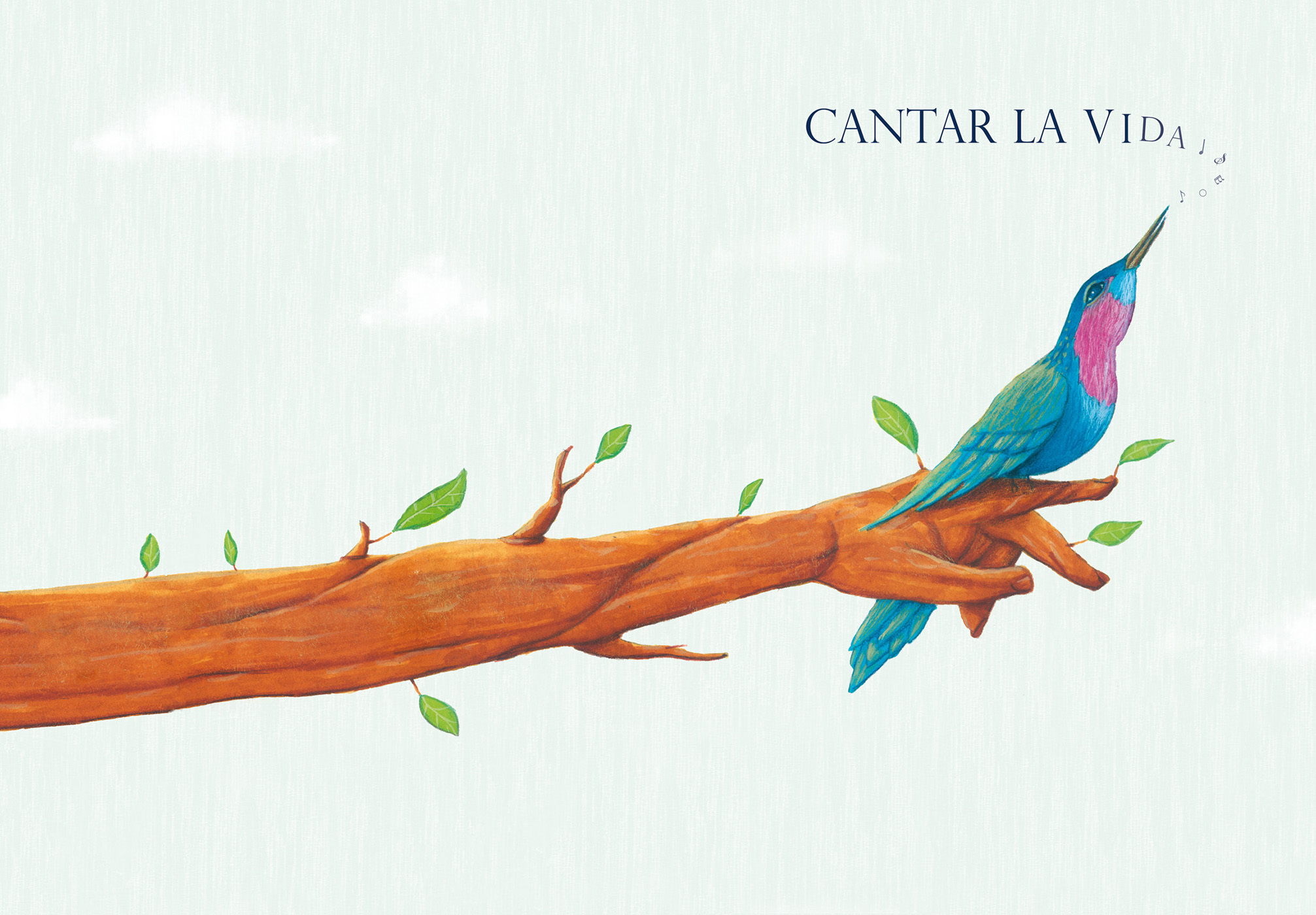 Cantar la vida. Cubiertas